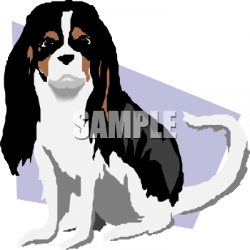 Pet Clipart