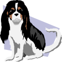 Pet Clipart