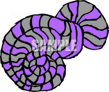 Mollusk Clipart