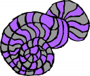 Mollusk Clipart