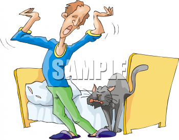 Pet Clipart