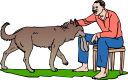 Pet Clipart