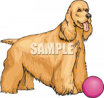 Pet Clipart