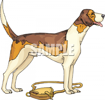 Pet Clipart