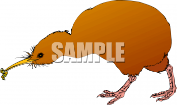 Bird Clipart