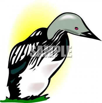 Bird Clipart