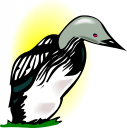 Bird Clipart