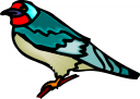 Bird Clipart