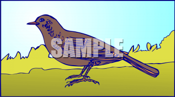 Bird Clipart