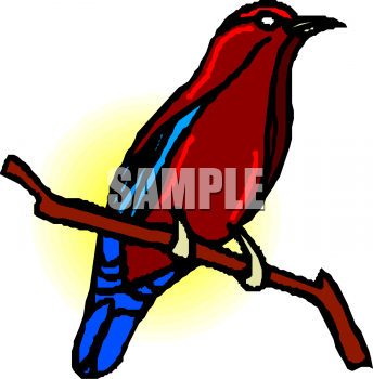 Bird Clipart