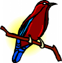 Bird Clipart