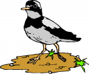 Bird Clipart