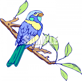 Bird Clipart