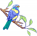 Bird Clipart