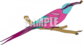 Bird Clipart