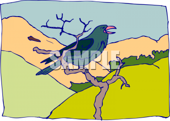 Bird Clipart