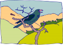 Bird Clipart