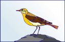 Bird Clipart