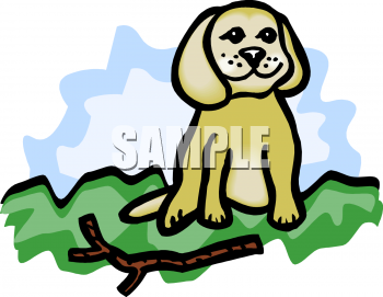 Pet Clipart