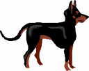 Pet Clipart