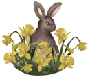 Rabbit Clipart