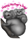 Koala Clipart