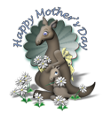 Kangaroo Clipart