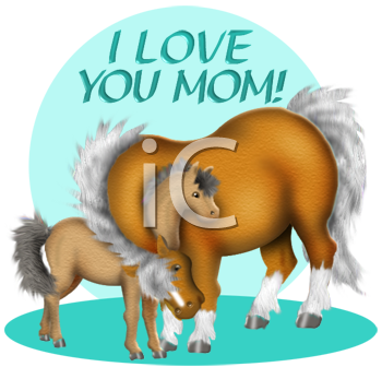 Foal Clipart