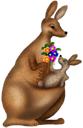 Kangaroo Clipart