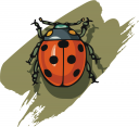 Ladybug Clipart