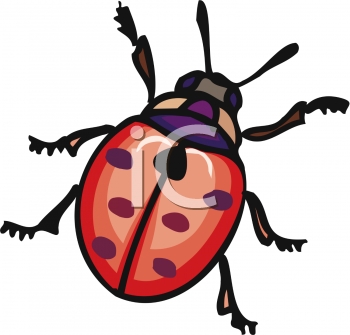 Ladybug Clipart