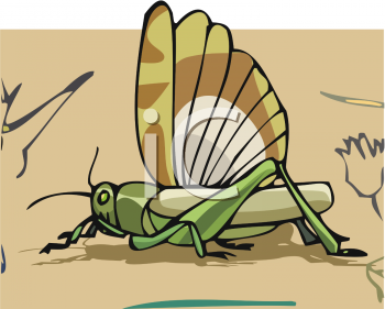 Grasshopper Clipart