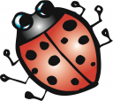 Ladybug Clipart