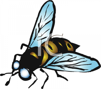 Wasp Clipart