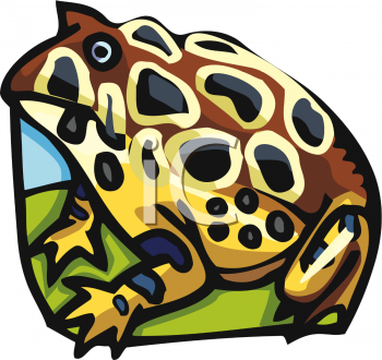 Toad Clipart