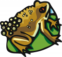 Toad Clipart