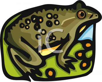 Toad Clipart