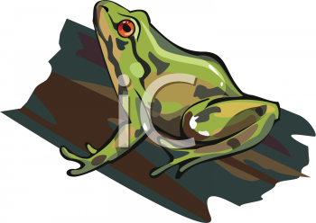 Toad Clipart