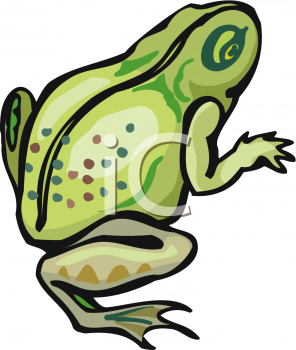 Toad Clipart