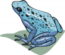 Toad Clipart