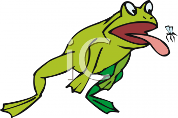 Toad Clipart