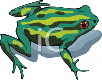 Toad Clipart