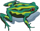 Toad Clipart