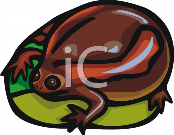 Toad Clipart