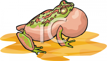 Toad Clipart