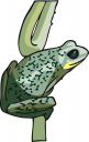 Toad Clipart