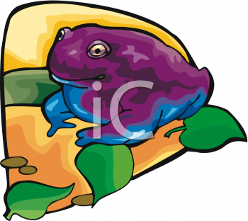 Toad Clipart