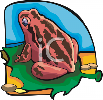 Toad Clipart