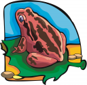 Toad Clipart