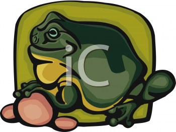 Toad Clipart